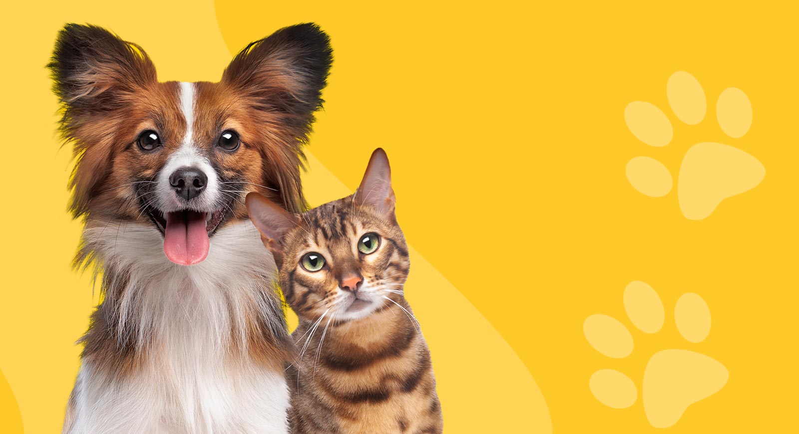 Gioie di Famiglia pet shop a Cattolica
